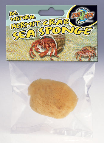 Hermit Crab Natural Sponge for Water Dish - Live Hermit Crab